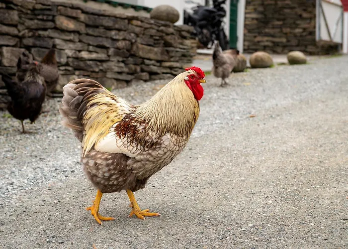 Vakker - Stor Parkeringsplass 10min Fra Lägenhet *